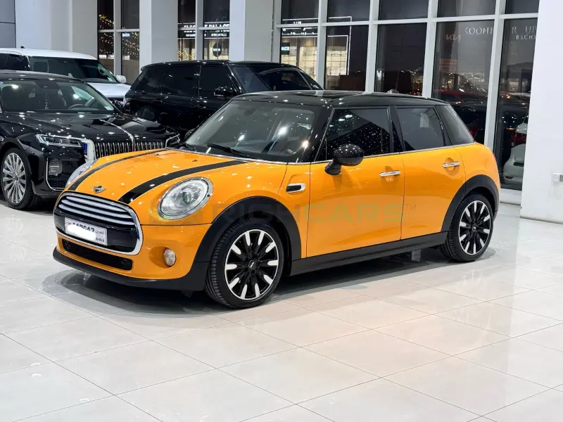 Mini