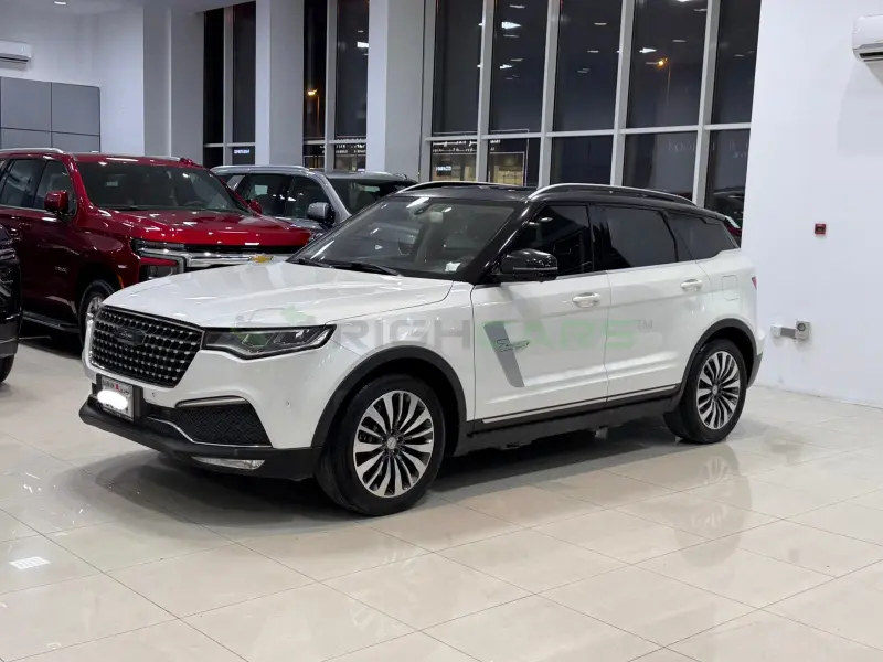 Zotye