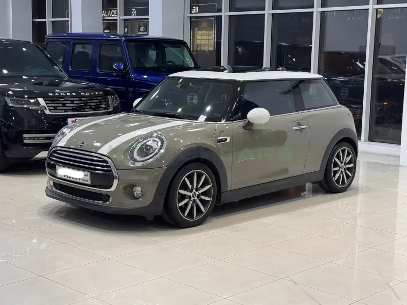 Mini