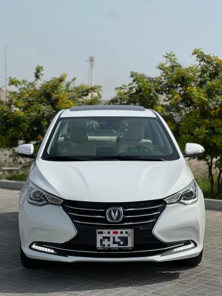  Changan Alsvin 
