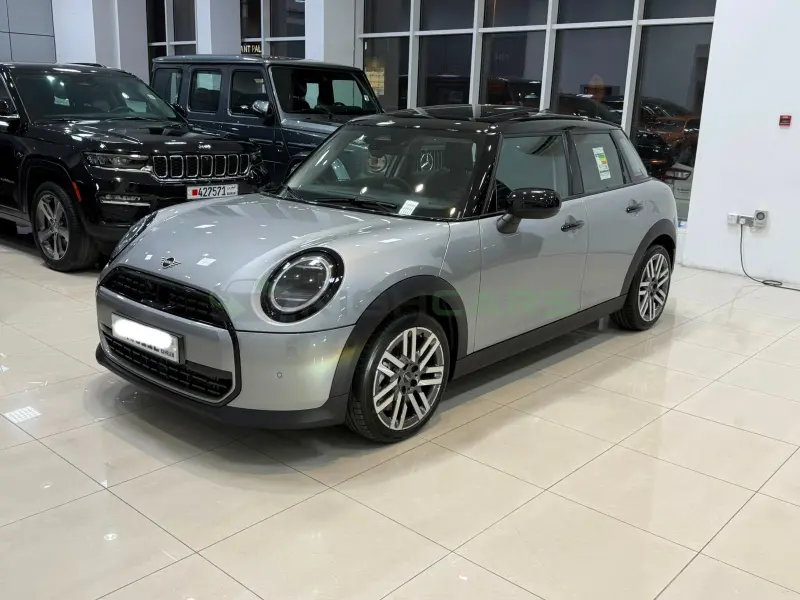 Mini